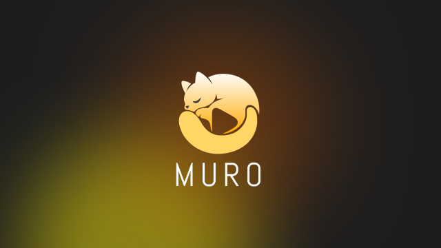 Muro Video Player